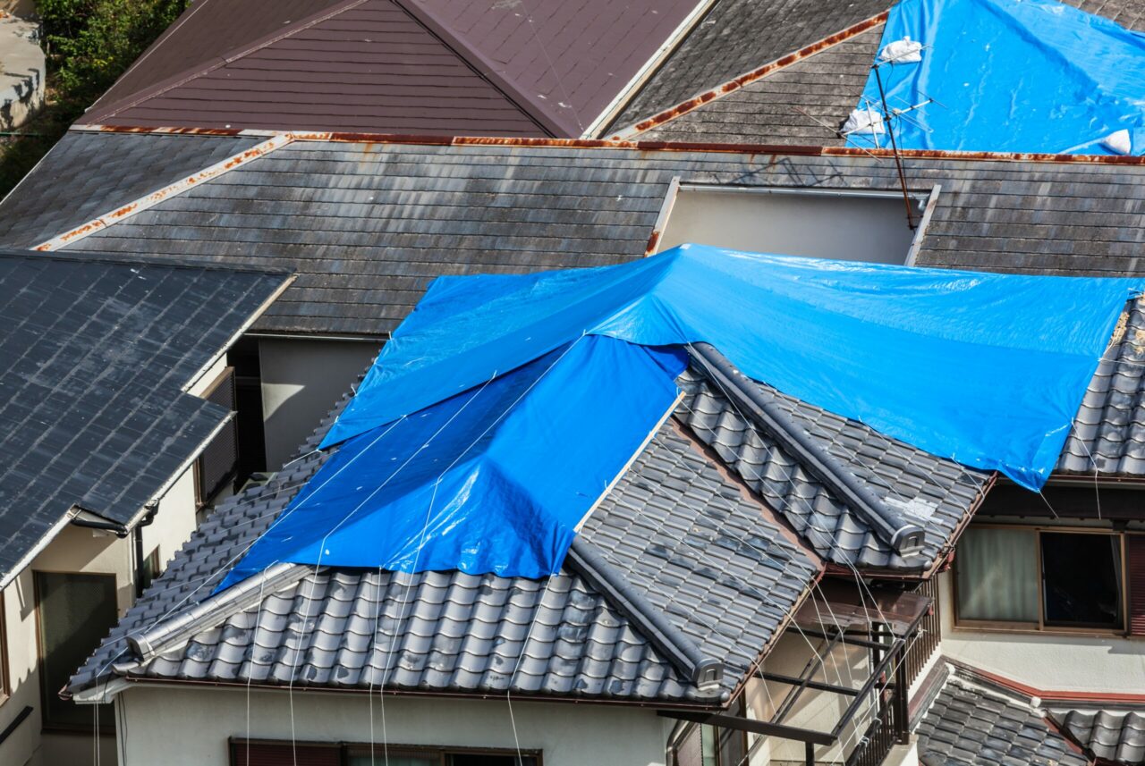 roof under construction - roofing contractor services