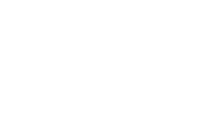 Mynt Solar & Roofing